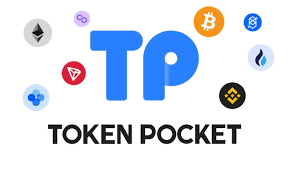 TP钱包账号找回：从常见问题到专业解决方案